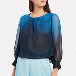 Jonathan Simkhai Blue Sheer Blouse